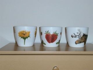 Kaspó 1